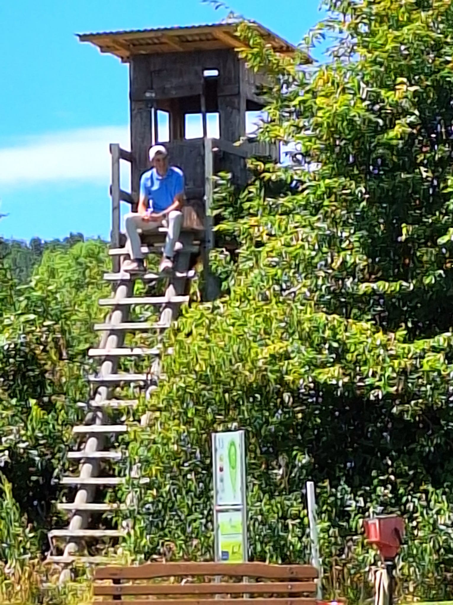 WhatsApp Bild 2025-06-28 um 22.47.39_215fb2fb